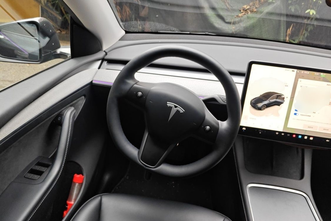 Tesla Model Y 2024 #22 Tesla Model Y 2024 imagen de coche #22