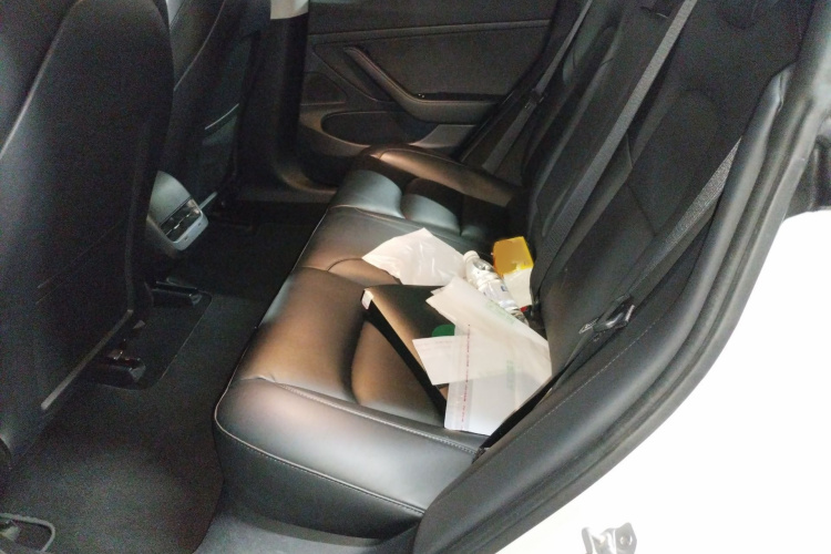 Tesla Model 3 2020 #14 Tesla Model 3 2020 صورة سيارة #14