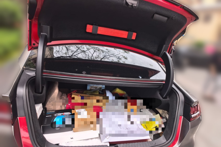 BYD Han 2021 car image #21
