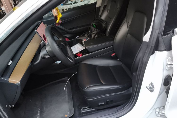 Tesla Model 3 2020 car image #17