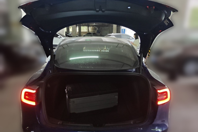 Tesla Model 3 2021 car image #21