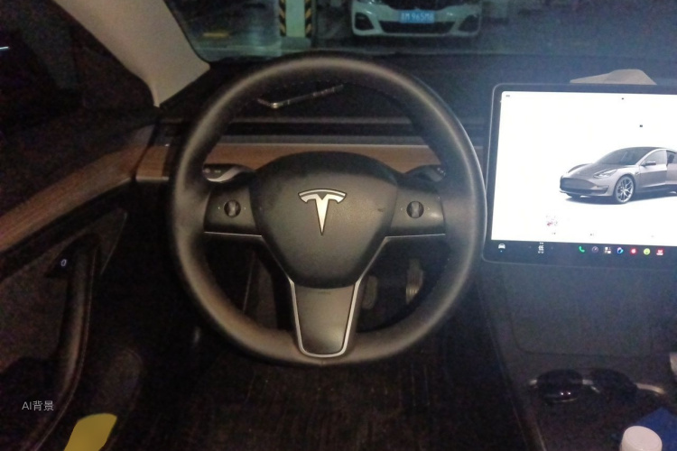 Tesla Model 3 2023 car image #12