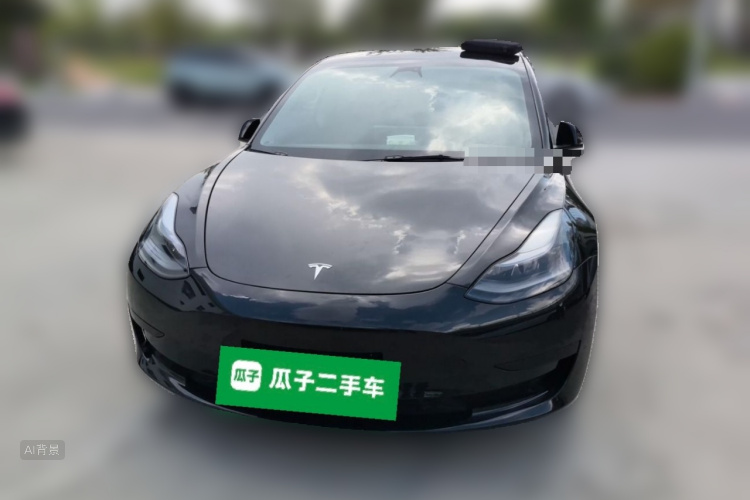 Tesla Model 3 2021 car image #3
