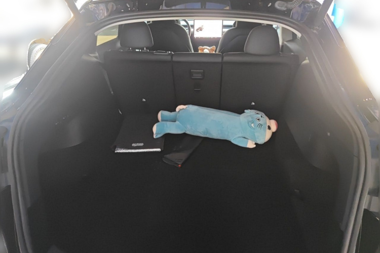 Tesla Model Y 2023 #17 Tesla Model Y 2023 car image #17
