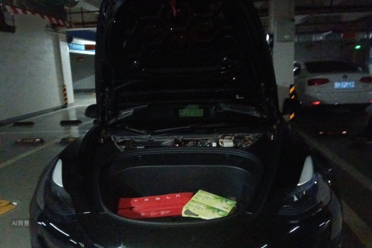 Tesla Model 3 2023 car image #22
