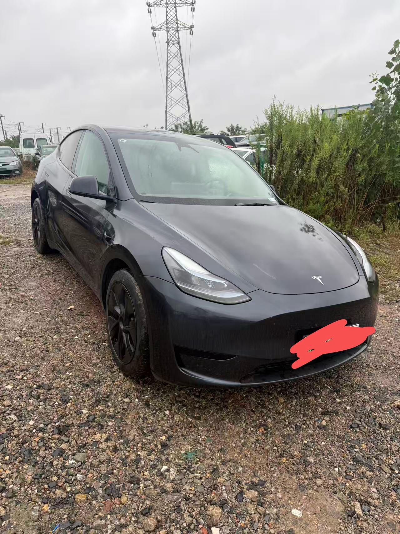 Tesla Model Y 2024 car image #2