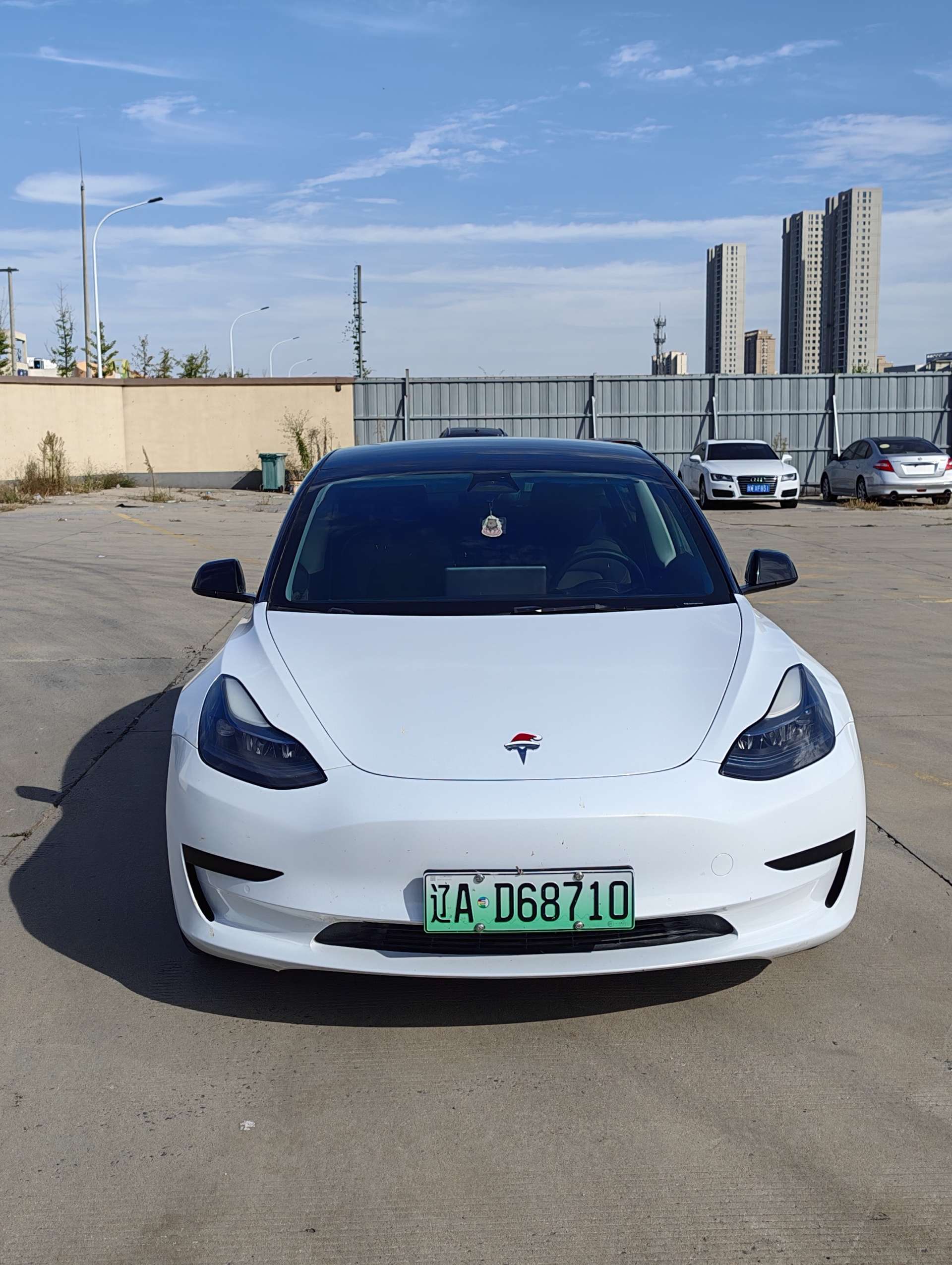 Tesla Model 3 2023 #2 Tesla Model 3 2023 car image #2
