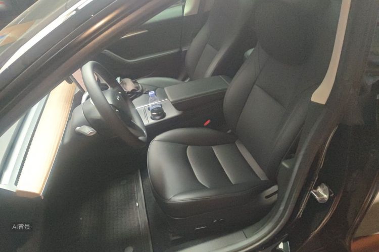Tesla Model 3 2022 car image #17