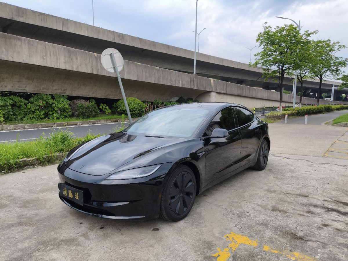 Tesla Model 3 2025 Tesla Model 3 2025 car image