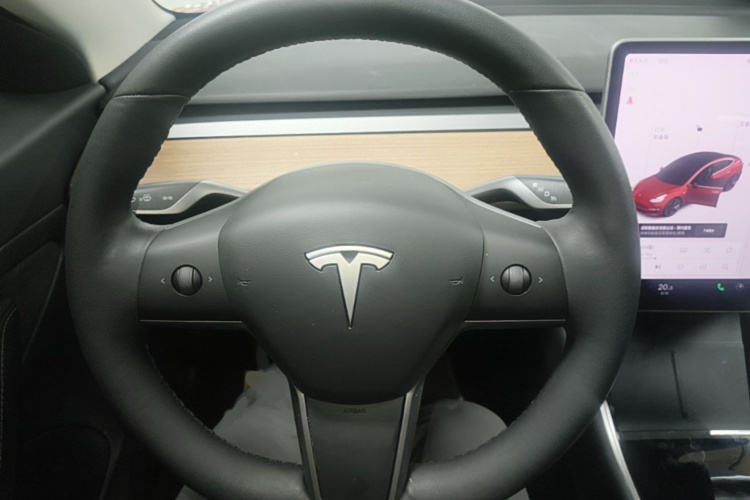 Tesla Model 3 2020 car image #15