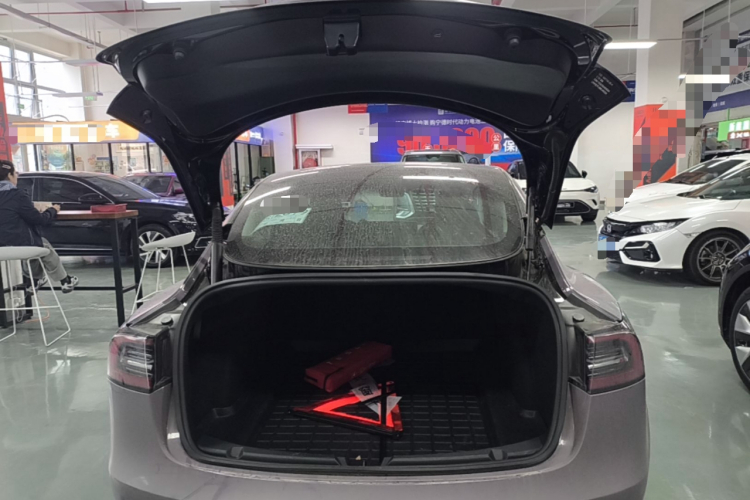 Tesla Model 3 2021 car image #21