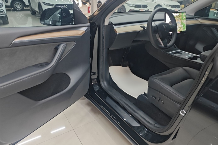 Tesla Model Y 2021 car image #16