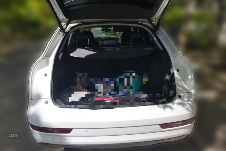 Audi Q3 2018 car image #21