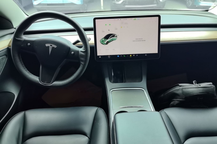 Tesla Model 3 2021 #10 Tesla Model 3 2021 car image #10