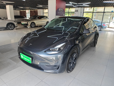 Tesla Model Y 2024 car image 