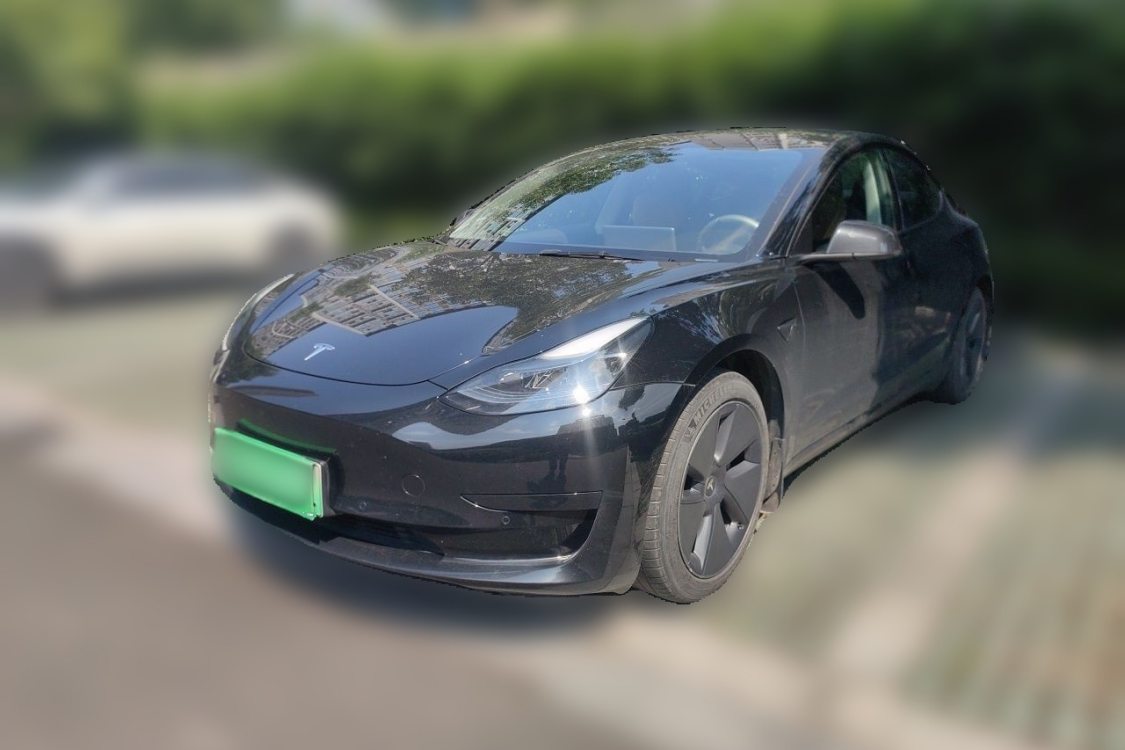 Tesla Model 3 2021 imagem de carro 