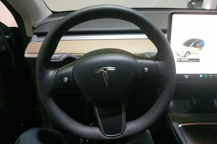 Tesla Model Y 2021 #11 Tesla Model Y 2021 car image #11