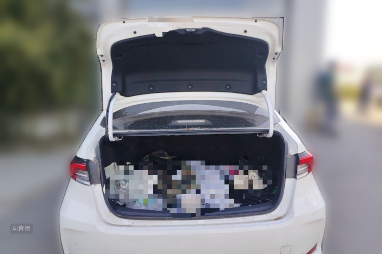 Toyota Corolla 2023 car image #21