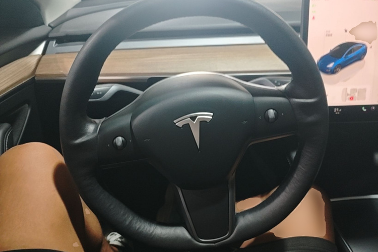 Tesla Model 3 2022 #11 Tesla Model 3 2022 car image #11