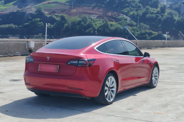 Tesla Model 3 2020 #5 Tesla Model 3 2020 car image #5