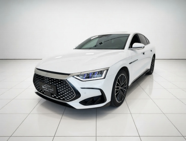 BYD Han 2022 car image 