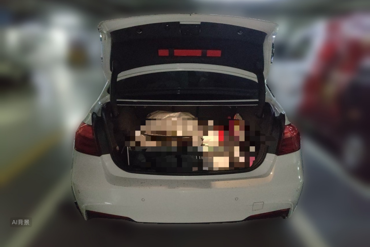 BMW 3 Series 2019 car image #21