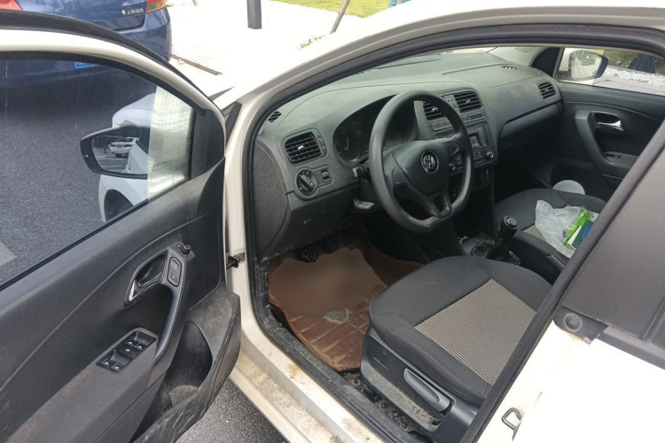 Volkswagen Polo 2015 car image #9