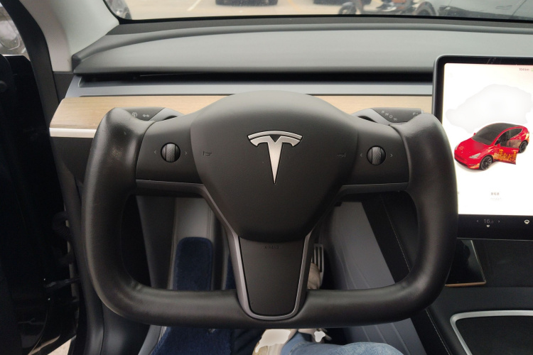 Tesla Model Y 2021 car image #11
