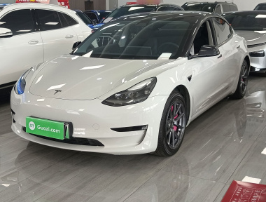 Tesla Model 3 2021 Tesla Model 3 2021 car image