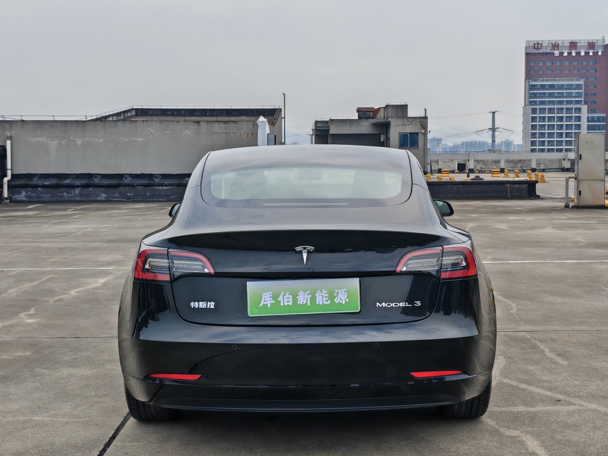 Tesla Model 3 2021 #5 Tesla Model 3 2021 car image #5