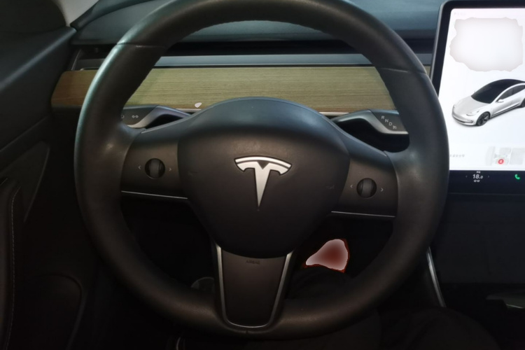 Tesla Model 3 2020 immagine di auto #11