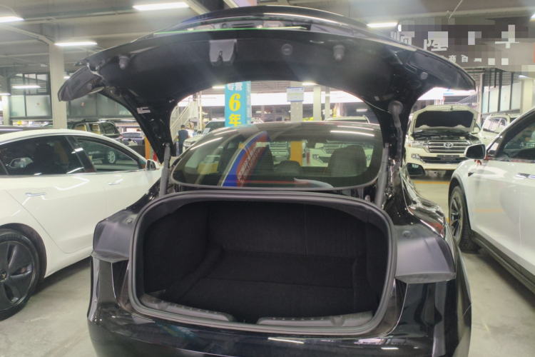 Tesla Model 3 2024 #19 Tesla Model 3 2024 car image #19
