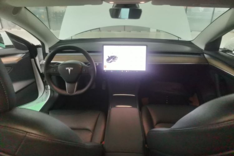 Tesla Model 3 2021 #10 Tesla Model 3 2021 car image #10