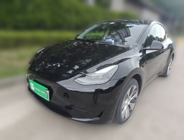 Tesla Model Y 2022 car image 