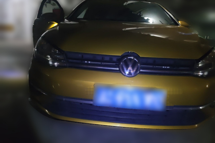 Volkswagen Golf 2019 imagen de coche #3