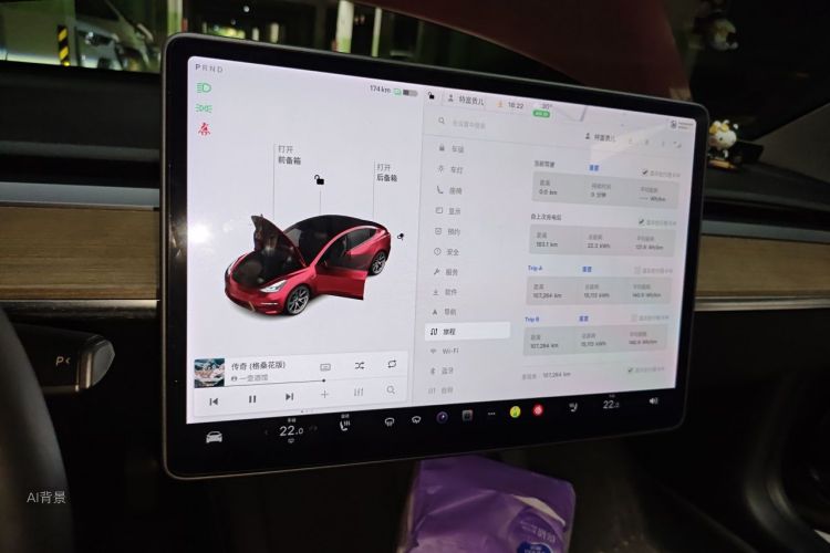 Tesla Model 3 2021 car image #15