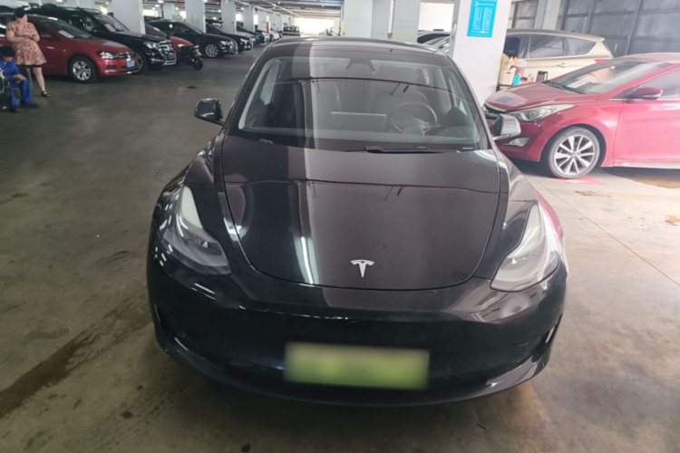 Tesla Model 3 2021 #3 Tesla Model 3 2021 car image #3