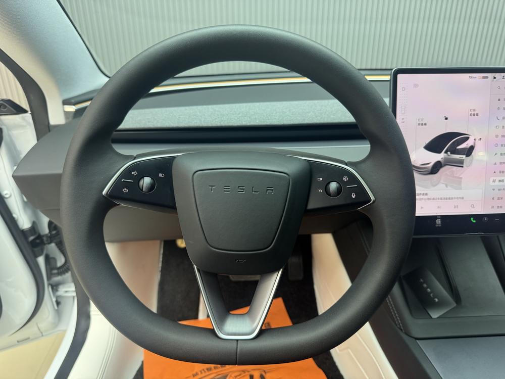 Tesla Model 3 2024 car image #12