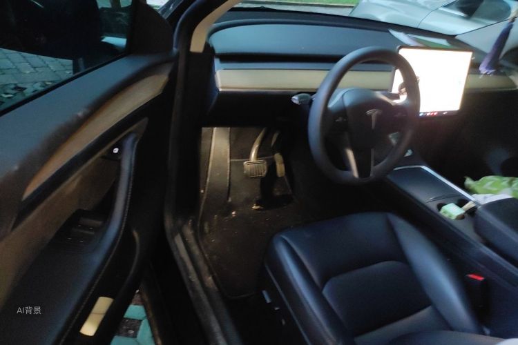 Tesla Model Y 2022 #18 Tesla Model Y 2022 car image #18
