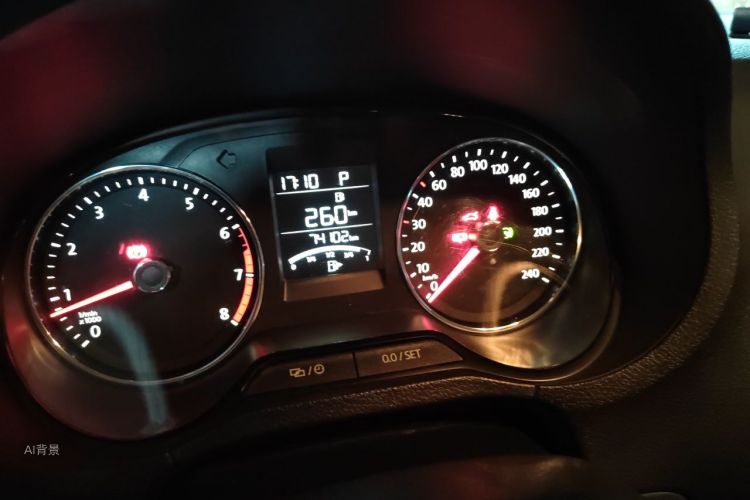 Volkswagen Polo 2017 car image #14