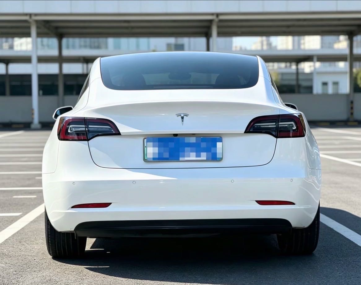 Tesla Model 3 2020 car image #5