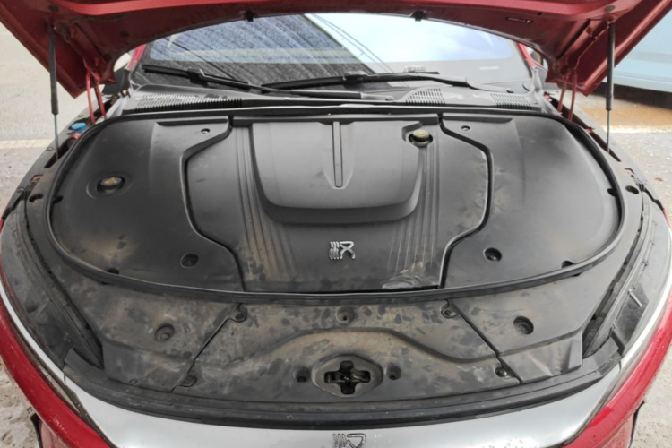 BYD Han 2021 car image #20