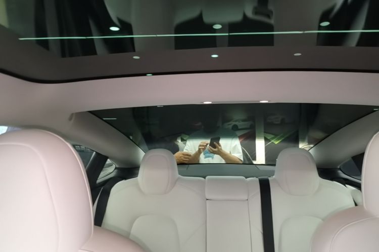 Tesla Model 3 2020 car image #20