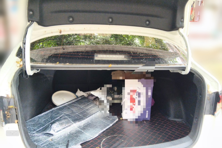 Toyota Corolla 2019 car image #21