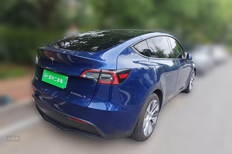 Tesla Model Y 2021 car image #7