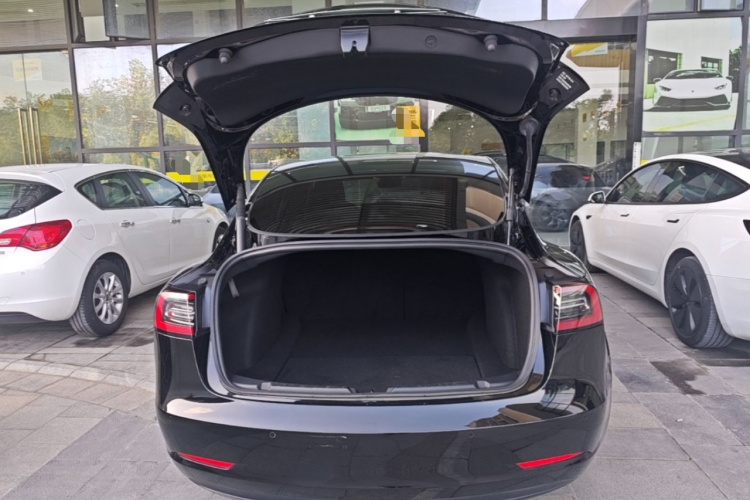 Tesla Model 3 2022 #21 Tesla Model 3 2022 image de voiture #21