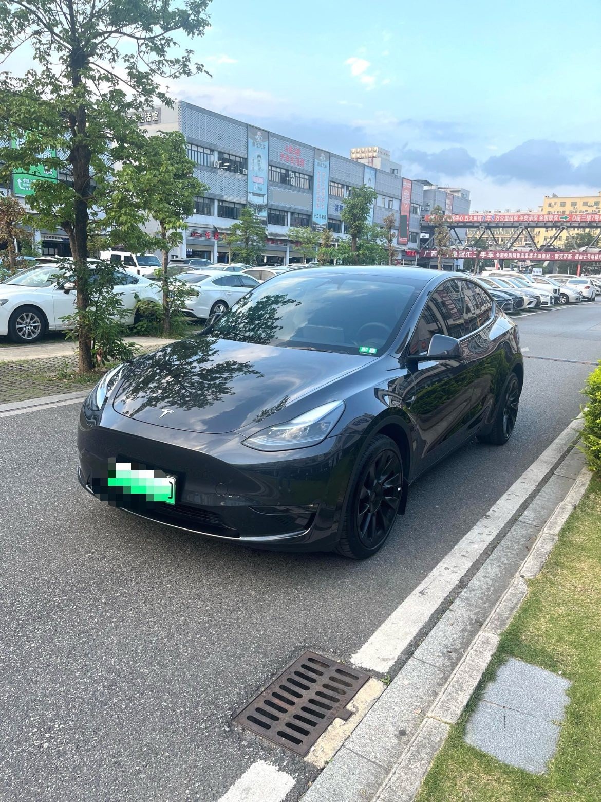 Tesla Model Y 2024 Tesla Model Y 2024 car image