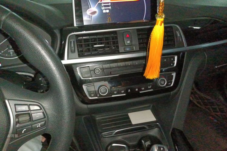 BMW 3 Series 2017 immagine di auto #15