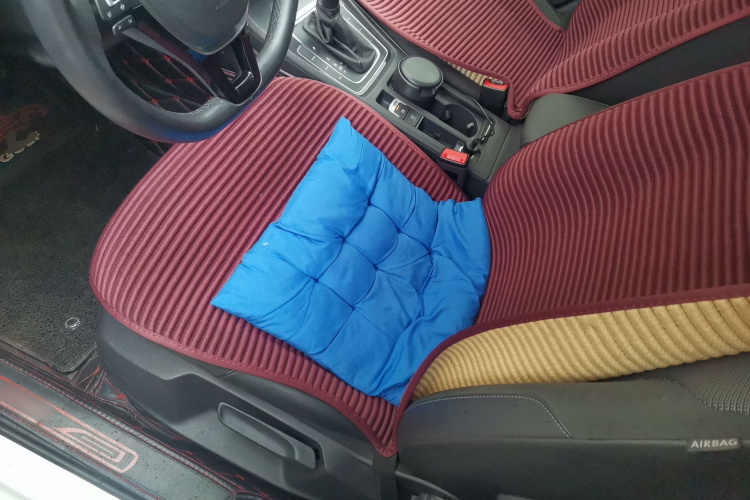 Volkswagen Golf 2019 car image #15