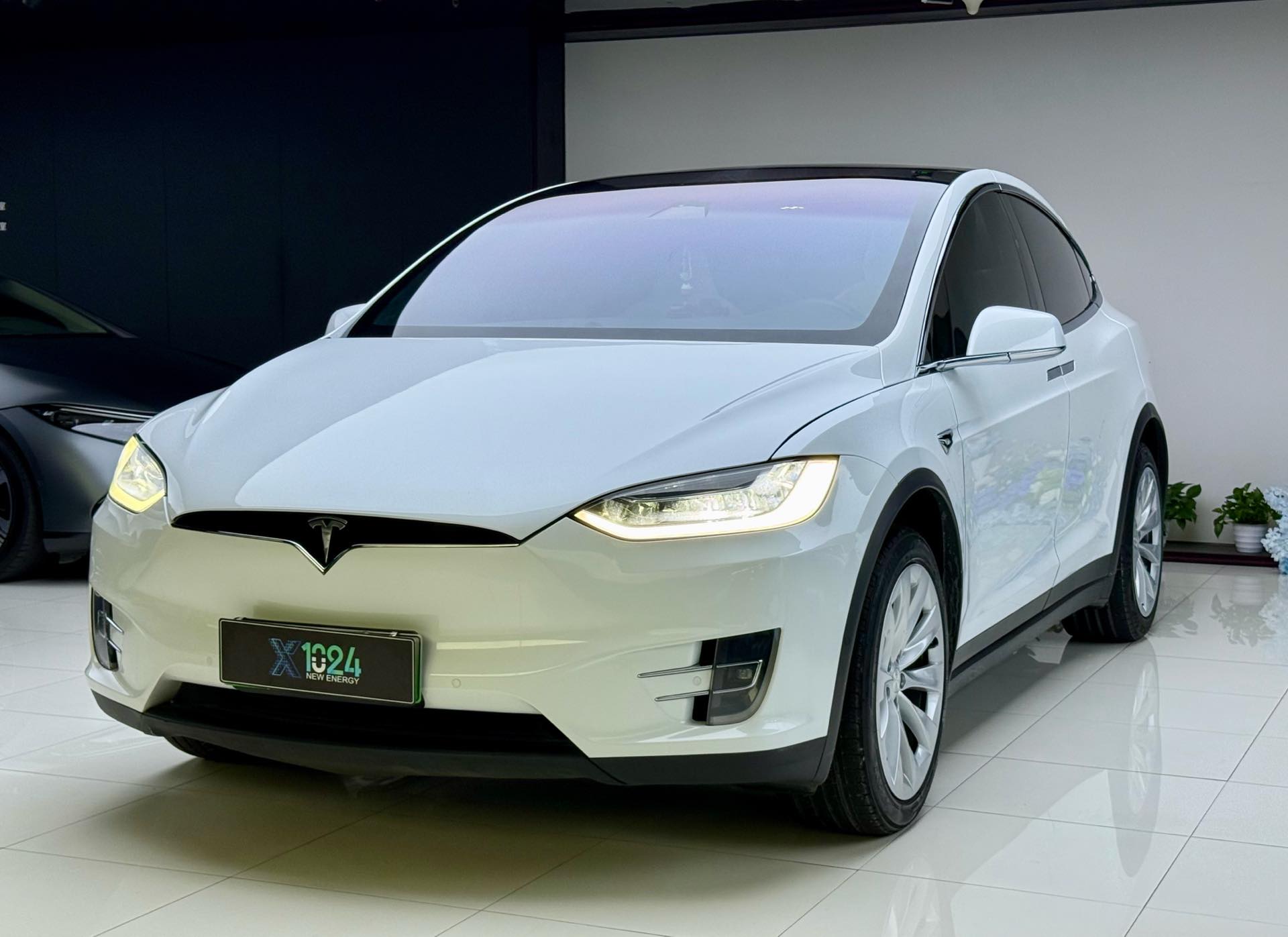 Tesla Model X 2019 Tesla Model X 2019 car image